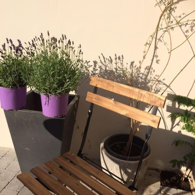 Apartment Le Clos De Beauchamp Le Bord De 2 Velos Sont Disponibles Gratuitement